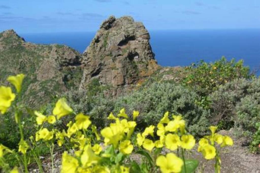 House Rural,Biosphere Reserve World.Taganana.Tfe. Santa Cruz de Tenerife Esterno foto